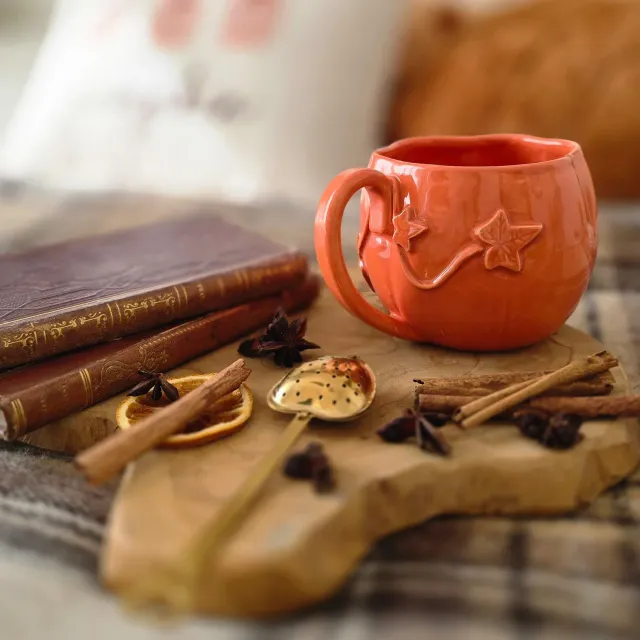 Naturayl Citrouille Enchantée kop orange håndlavet keramik