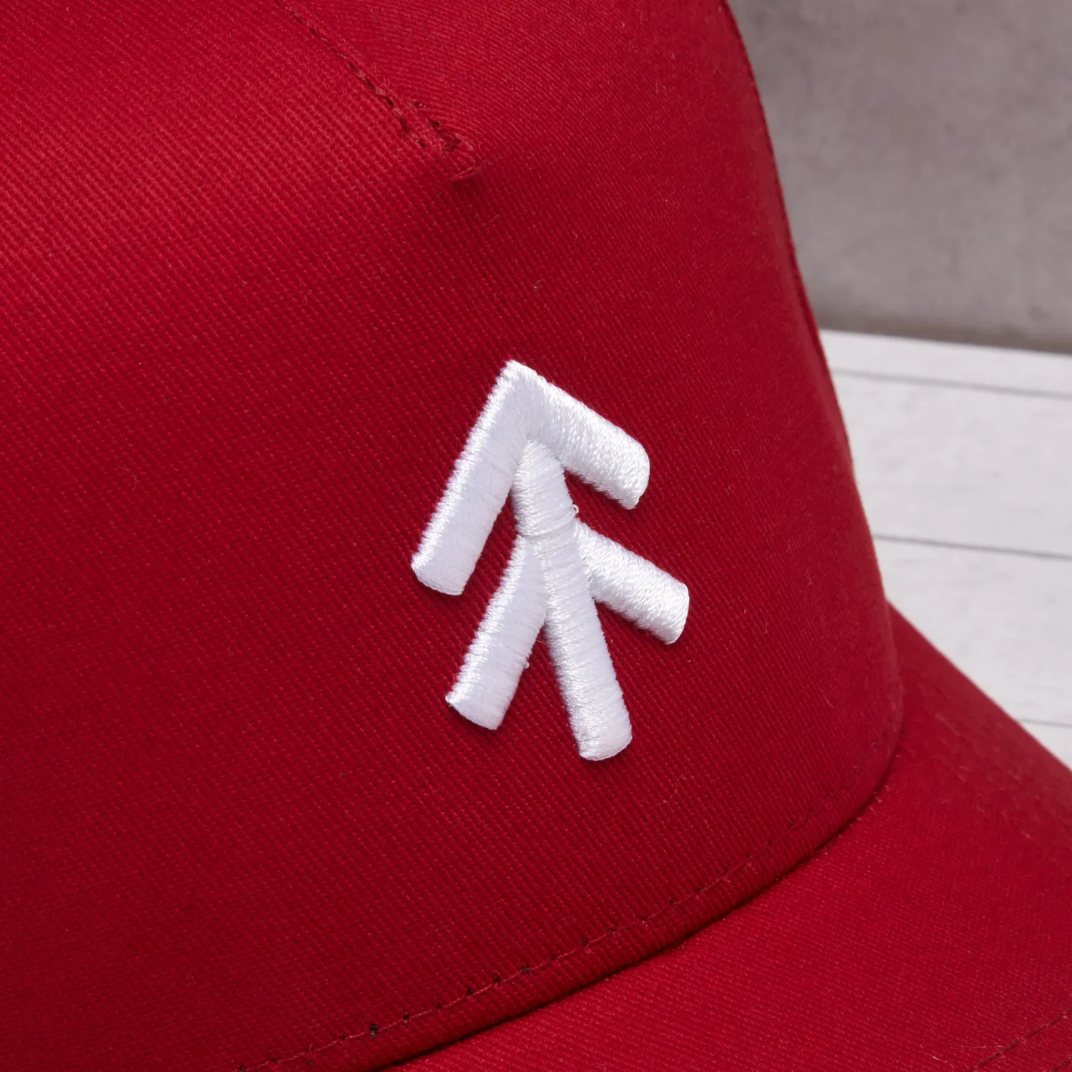 The Black Stuff TBS Hats kasket rød
