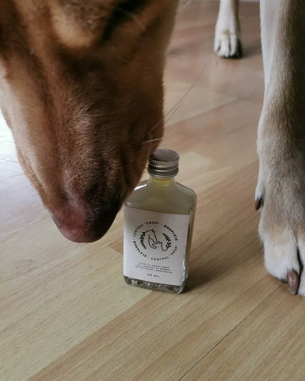 ourchoice øreplejesalve til hund og kat vegansk