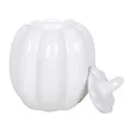 Naturayl Citrouille Blanche duftlampe hvidt græskar
