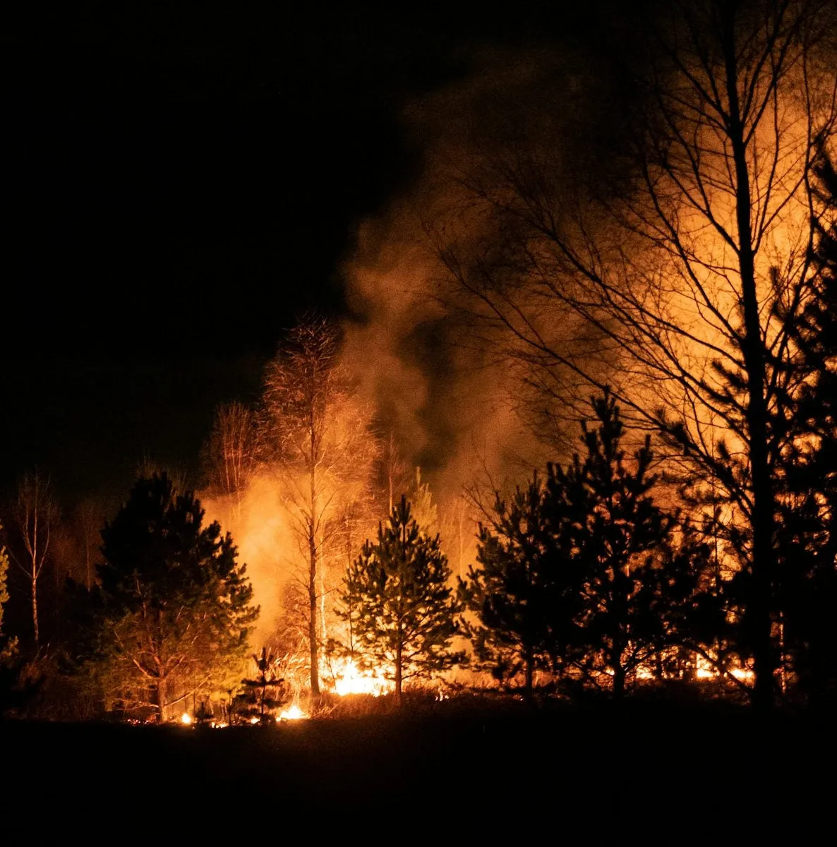 Naturayl Don Incendies fast sæbe til sart hud