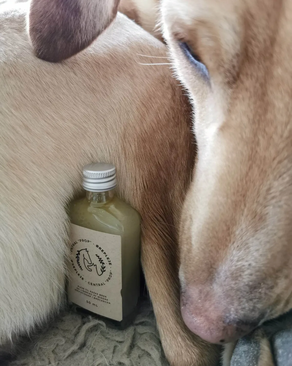 ourchoice øreplejesalve til hund og kat vegansk