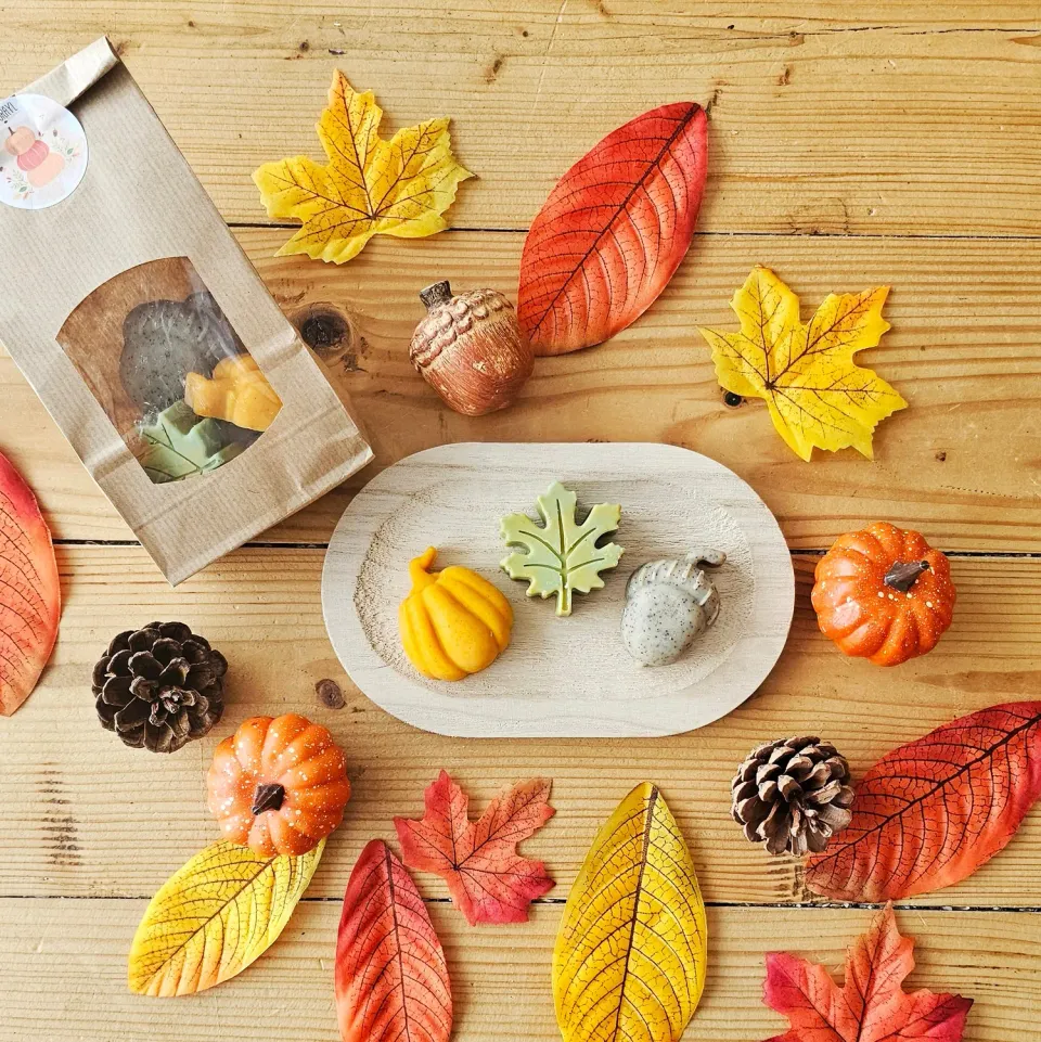 Naturayl Automne Cosy saebe 3-pak efteraarsformer